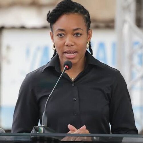 Zanetor Agyeman-Rawlings Elected Second Vice President of the Pan-African Parliament